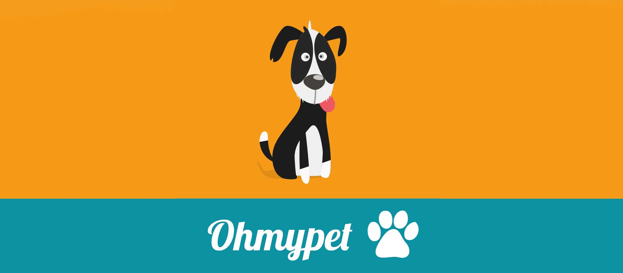 Bienvenidos al blog de ohmypet!