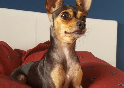 Lola
