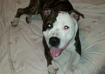 ares