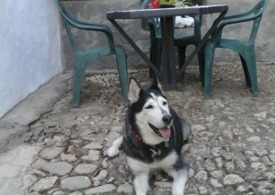 jara