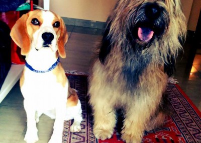 vera y rufa