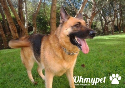 yuma
